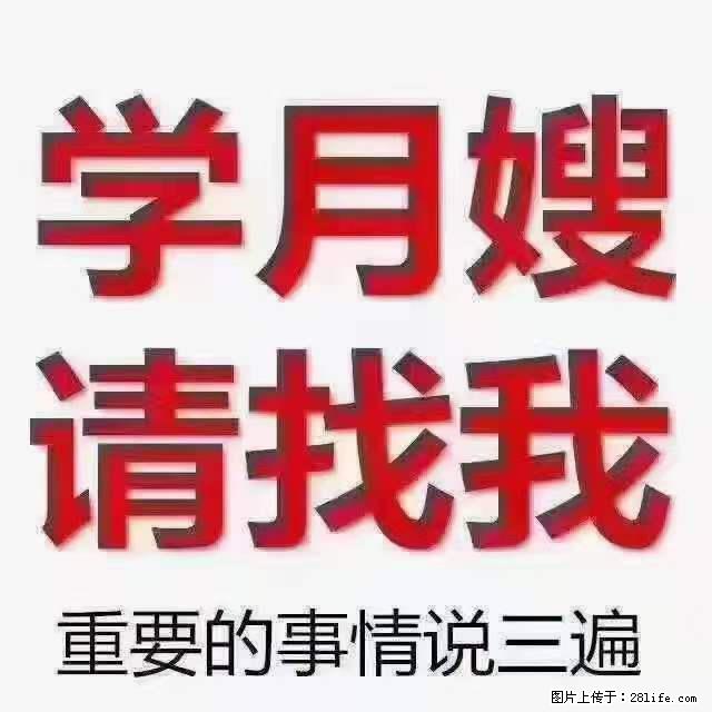 为什么要学习月嫂，育婴师？ - 其他广告 - 广告专区 - 果洛分类信息 - 果洛28生活网 guoluo.28life.net