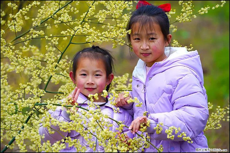 【春天，广西桂林灌阳县向您发出邀请！】米珠山前有片山苍子花在飘香 - 游山玩水 - 果洛生活社区 - 果洛28生活网 guoluo.28life.net