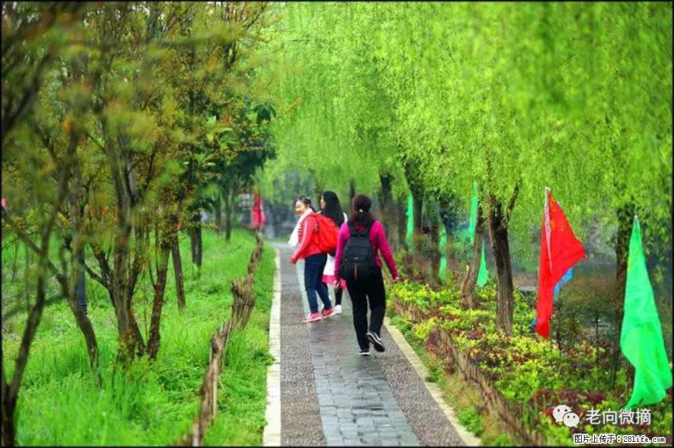 【春天，广西桂林灌阳县向您发出邀请！】江口老街又逢春 - 游山玩水 - 果洛生活社区 - 果洛28生活网 guoluo.28life.net