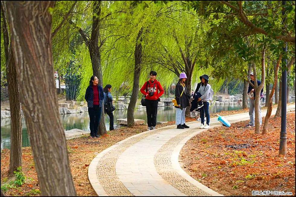 【春天，广西桂林灌阳县向您发出邀请！】江口老街又逢春 - 游山玩水 - 果洛生活社区 - 果洛28生活网 guoluo.28life.net