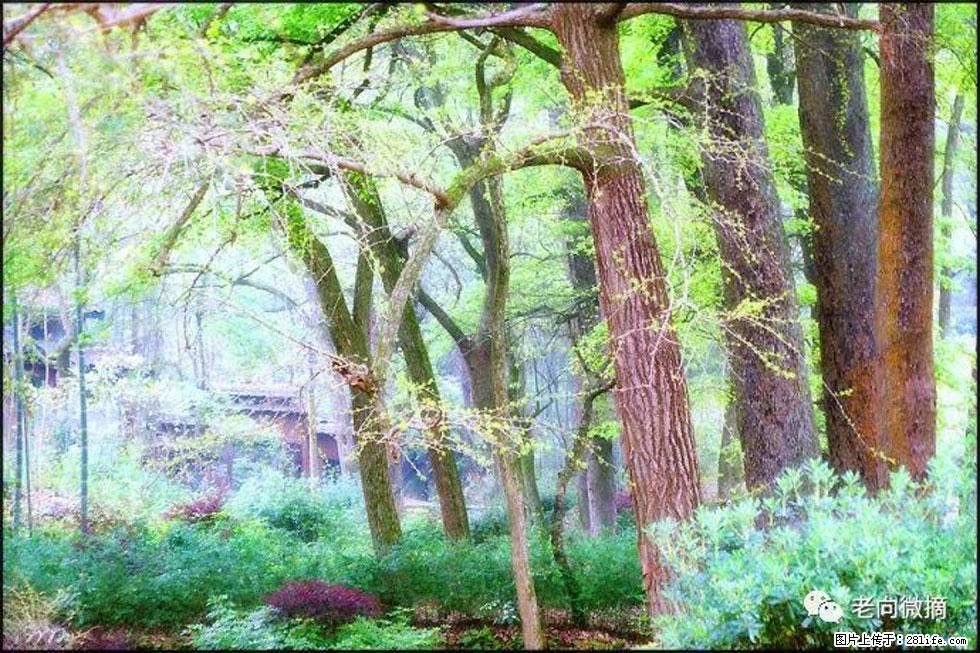 【春天，广西桂林灌阳县向您发出邀请！】在小龙村与春天约会 - 游山玩水 - 果洛生活社区 - 果洛28生活网 guoluo.28life.net