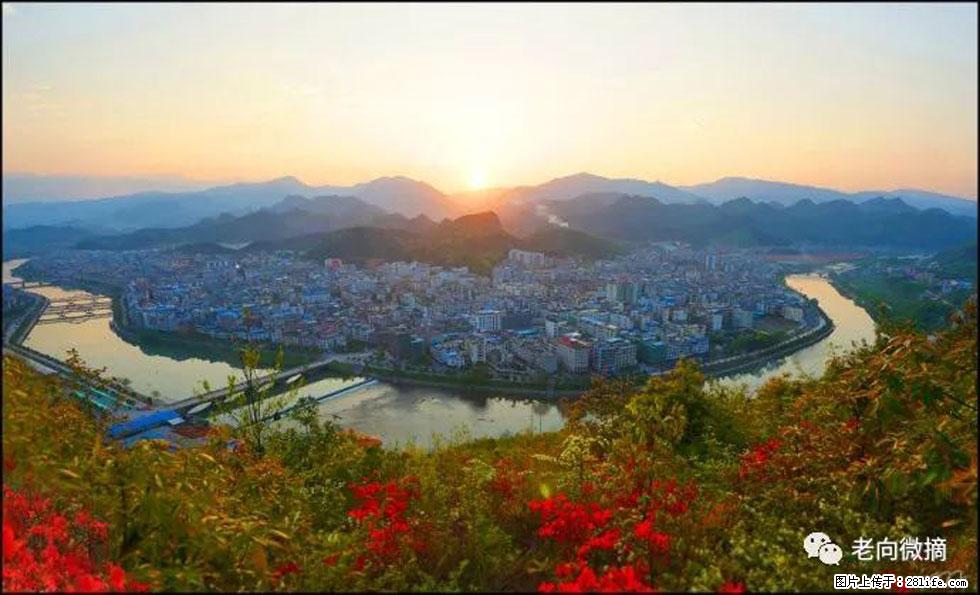 【春天，广西桂林灌阳县向您发出邀请！】登麒麟山，相约映山红 - 游山玩水 - 果洛生活社区 - 果洛28生活网 guoluo.28life.net