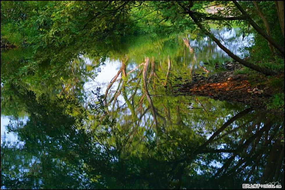 【春天，广西桂林灌阳县向您发出邀请！】熊家寨湿地公园 - 游山玩水 - 果洛生活社区 - 果洛28生活网 guoluo.28life.net