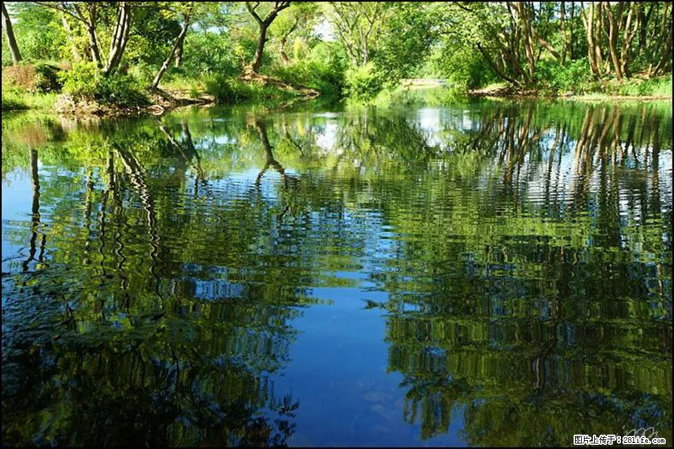 【春天，广西桂林灌阳县向您发出邀请！】熊家寨湿地公园 - 游山玩水 - 果洛生活社区 - 果洛28生活网 guoluo.28life.net