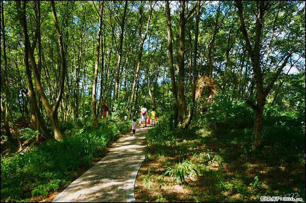 【春天，广西桂林灌阳县向您发出邀请！】熊家寨湿地公园 - 游山玩水 - 果洛生活社区 - 果洛28生活网 guoluo.28life.net