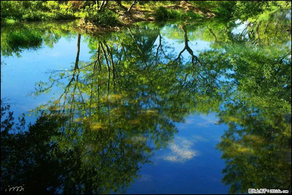 【春天，广西桂林灌阳县向您发出邀请！】熊家寨湿地公园 - 游山玩水 - 果洛生活社区 - 果洛28生活网 guoluo.28life.net