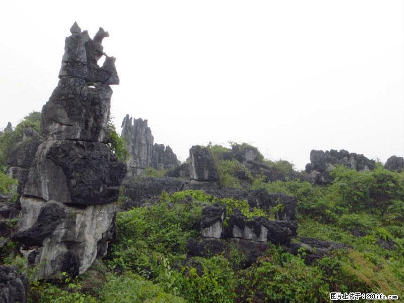 桂林旅游名城景点:灌阳文市石林 - 游山玩水 - 果洛生活社区 - 果洛28生活网 guoluo.28life.net