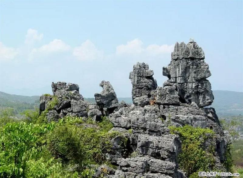 桂林旅游名城景点:灌阳文市石林 - 游山玩水 - 果洛生活社区 - 果洛28生活网 guoluo.28life.net