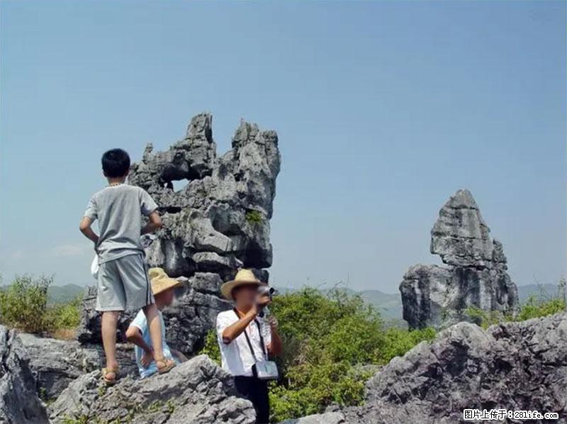 桂林旅游名城景点:灌阳文市石林 - 游山玩水 - 果洛生活社区 - 果洛28生活网 guoluo.28life.net