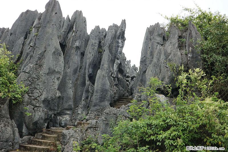 桂林旅游名城景点:灌阳文市石林 - 游山玩水 - 果洛生活社区 - 果洛28生活网 guoluo.28life.net