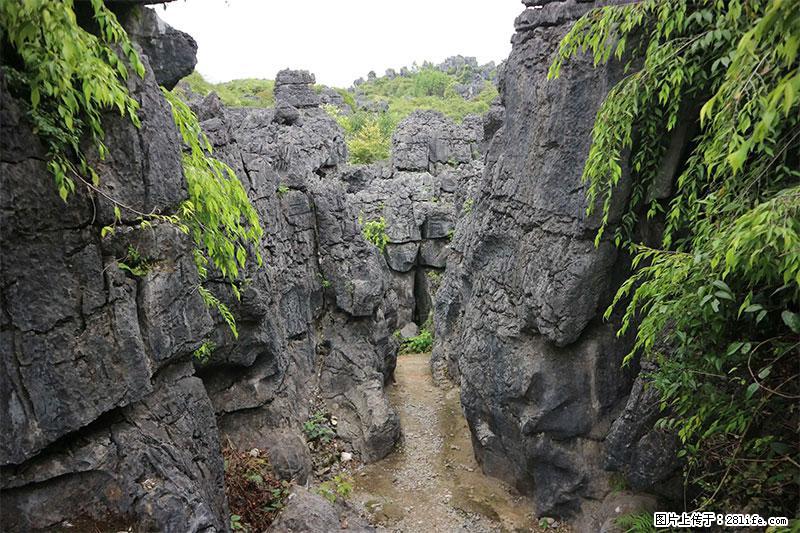 桂林旅游名城景点:灌阳文市石林 - 游山玩水 - 果洛生活社区 - 果洛28生活网 guoluo.28life.net