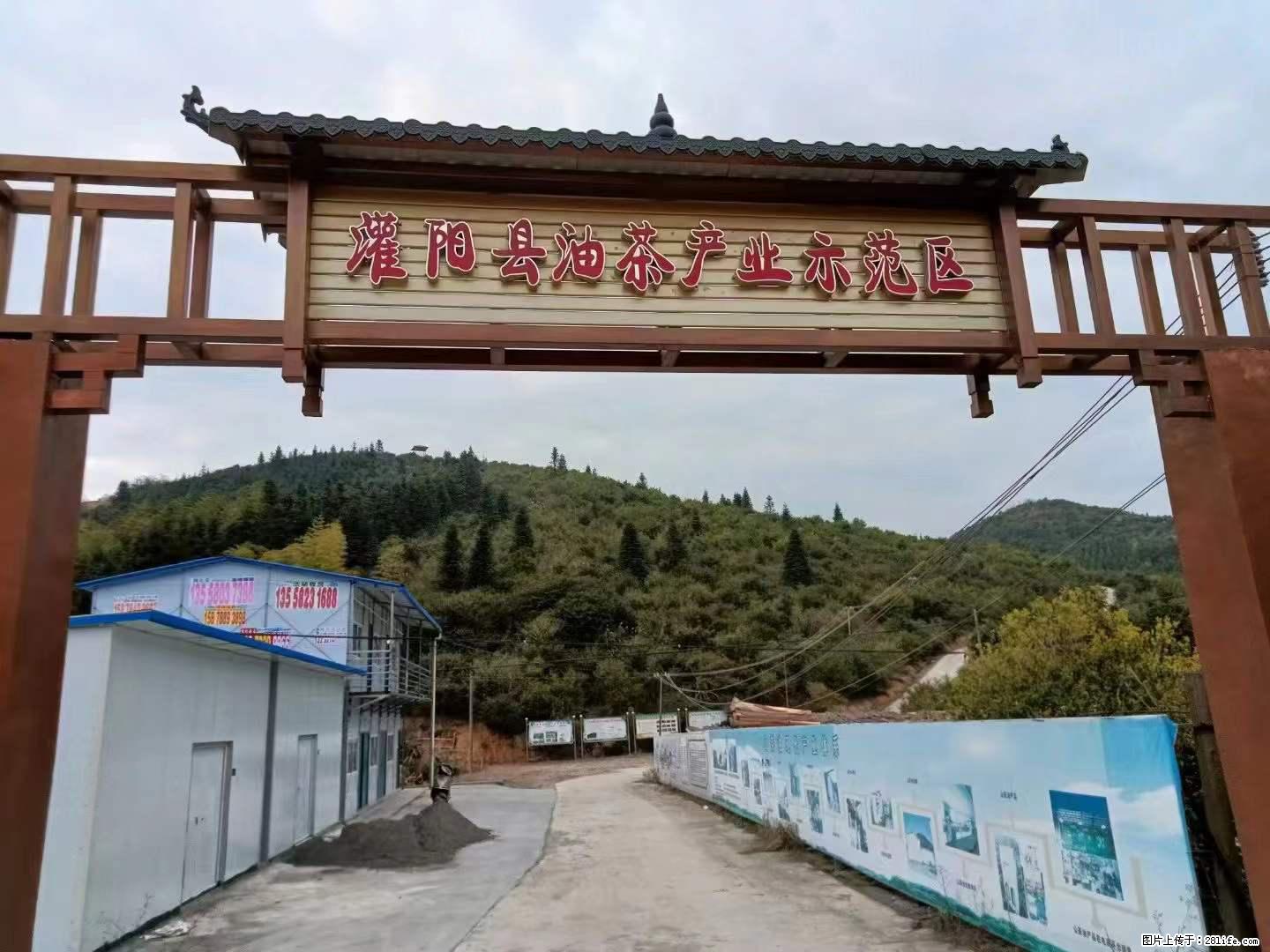 【灌阳县油茶产业示范区】一个有着充实的精神生活的人，对待身外之物自会有一种淡泊的态度 - 美食天地 - 果洛生活社区 - 果洛28生活网 guoluo.28life.net