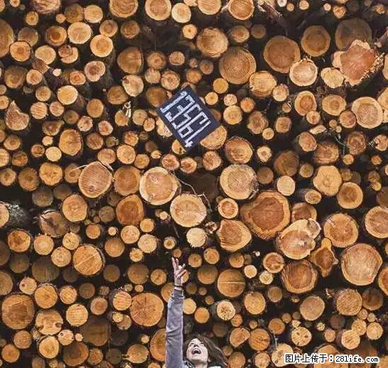 辞掉工作周游世界？现在他们在洗厕所…… - 游山玩水 - 果洛生活社区 - 果洛28生活网 guoluo.28life.net