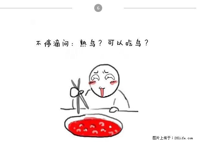 千万不要和这9种哈卵一起吃火锅！ - 美食天地 - 果洛生活社区 - 果洛28生活网 guoluo.28life.net