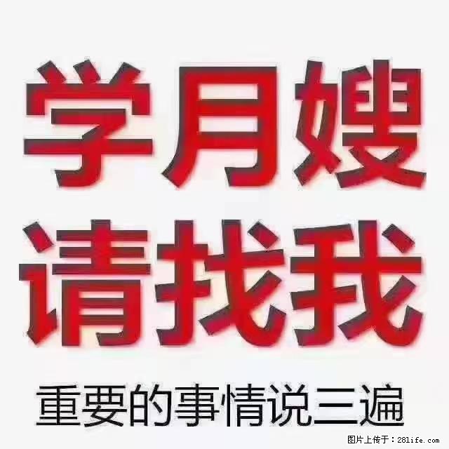 【招聘】月嫂，上海徐汇区 - 职场交流 - 果洛生活社区 - 果洛28生活网 guoluo.28life.net