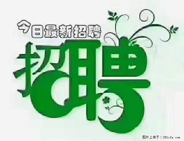 上海隔离酒店招人：55岁以下 男女不限 - 职场交流 - 果洛生活社区 - 果洛28生活网 guoluo.28life.net
