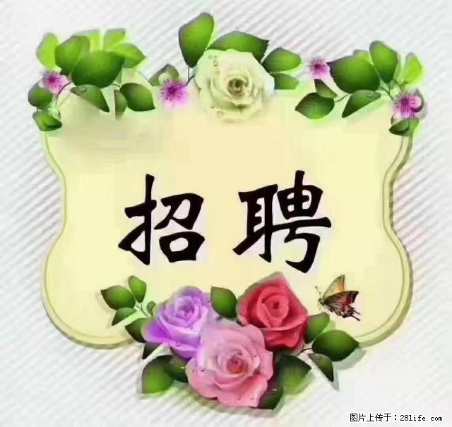 【招聘】住家育儿嫂，上户日期：4月4日，工作地址：上海 黄浦区 - 职场交流 - 果洛生活社区 - 果洛28生活网 guoluo.28life.net