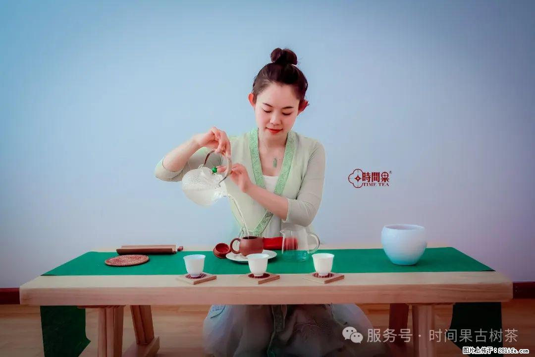时间果百年古树龙珠普洱生茶 - 购物交流 - 果洛生活社区 - 果洛28生活网 guoluo.28life.net