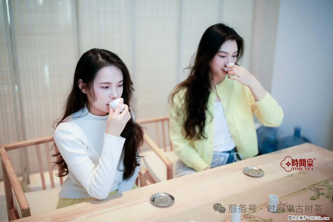 时间果百年古树龙珠普洱生茶 - 购物交流 - 果洛生活社区 - 果洛28生活网 guoluo.28life.net