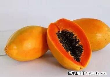 晕车、脚气、牙齿变黄、皮肤粗糙？学会这些三分钟搞定！ - 果洛生活资讯 - 果洛28生活网 guoluo.28life.net