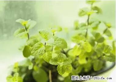 晕车、脚气、牙齿变黄、皮肤粗糙？学会这些三分钟搞定！ - 果洛生活资讯 - 果洛28生活网 guoluo.28life.net