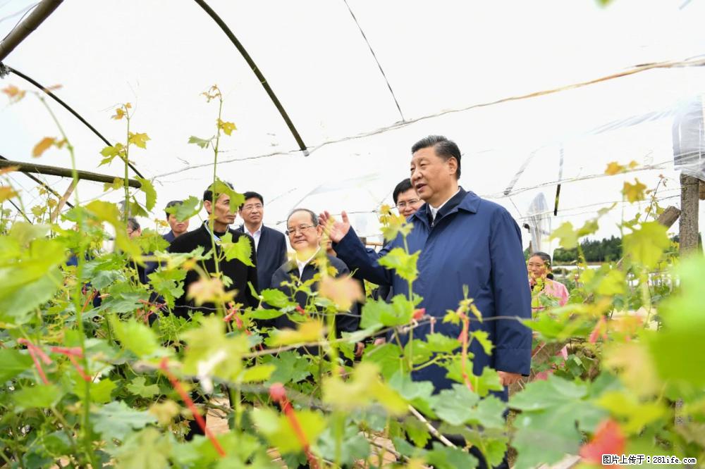 习近平赴广西考察调研 - 果洛生活资讯 - 果洛28生活网 guoluo.28life.net