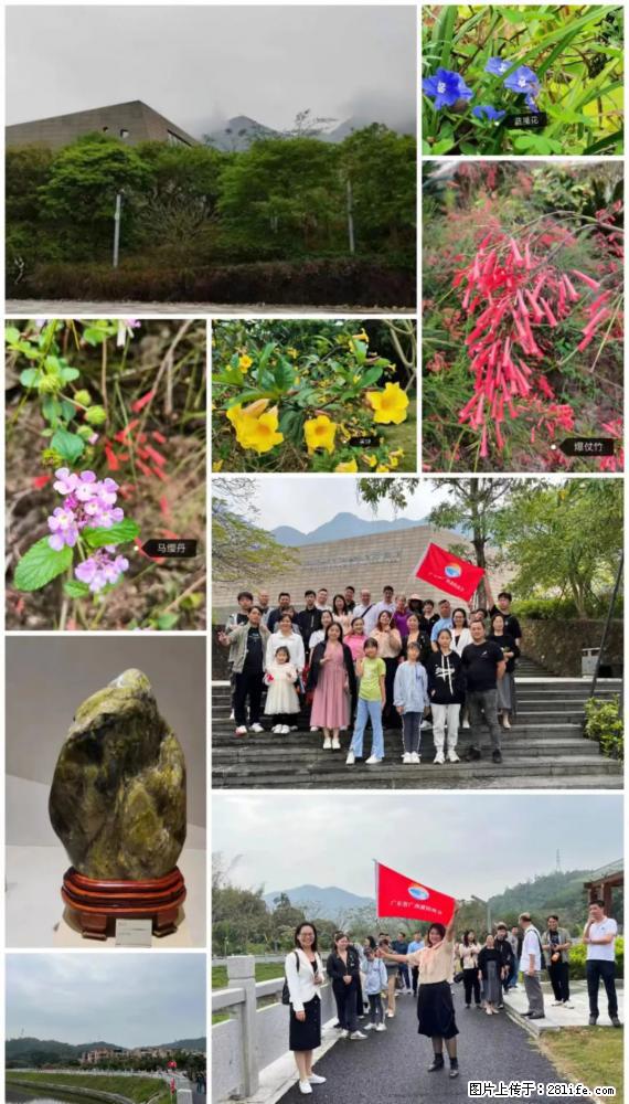 “粤灌文化 美好生活”油茶文化主题活动在广东深圳成功举办 - 果洛生活资讯 - 果洛28生活网 guoluo.28life.net
