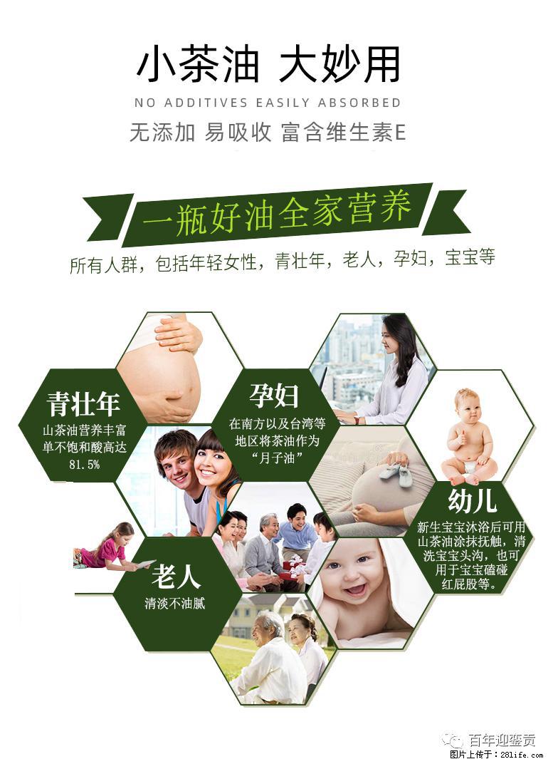 世界没有真相，只有认知，最好的食用油是中国的山茶油！ - 果洛生活资讯 - 果洛28生活网 guoluo.28life.net