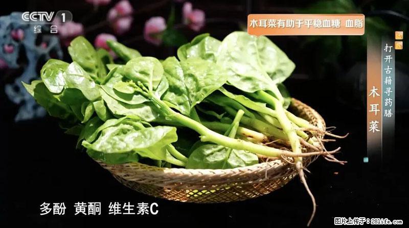 比牛奶补钙还厉害！凉血解毒、稳血糖...这菜冬天必吃，很多人却当草 - 果洛生活资讯 - 果洛28生活网 guoluo.28life.net