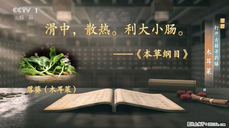 比牛奶补钙还厉害！凉血解毒、稳血糖...这菜冬天必吃，很多人却当草 - 果洛生活资讯 - 果洛28生活网 guoluo.28life.net