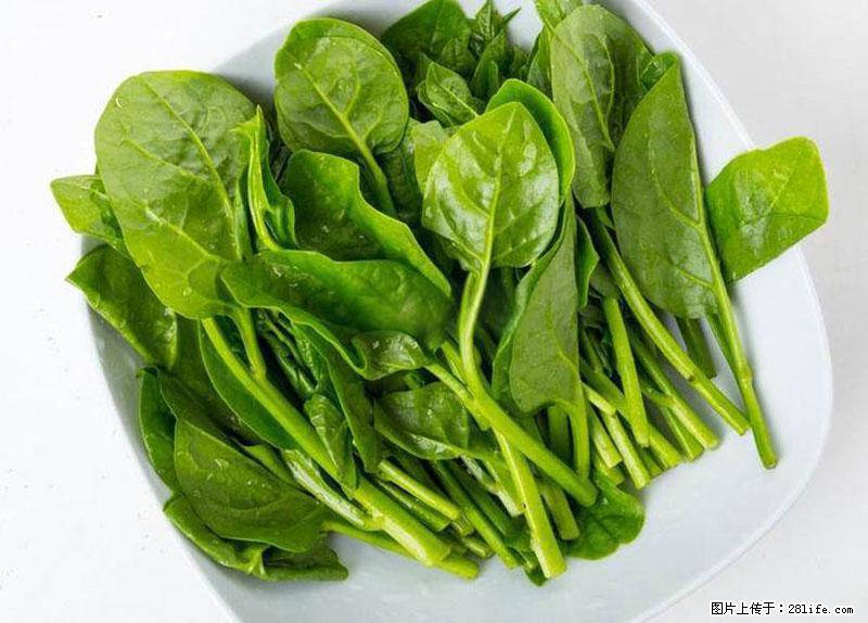 这些蔬菜是“天然钙片”，这6种被医生重点推荐 - 果洛生活资讯 - 果洛28生活网 guoluo.28life.net