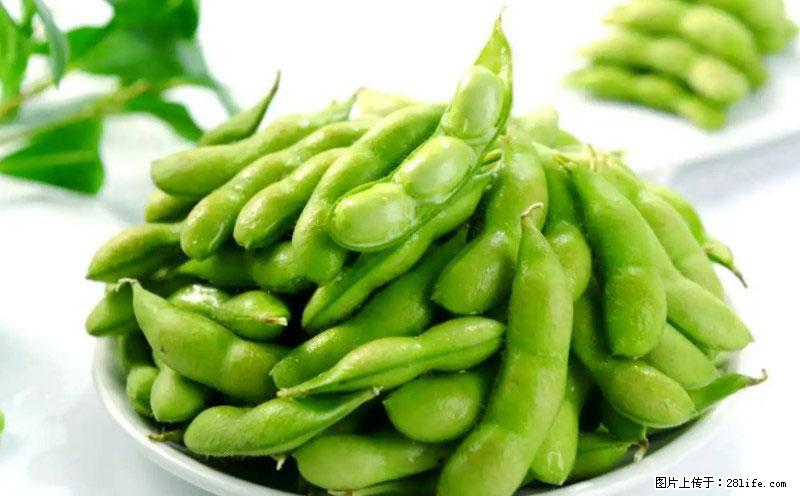 这些蔬菜是“天然钙片”，这6种被医生重点推荐 - 果洛生活资讯 - 果洛28生活网 guoluo.28life.net