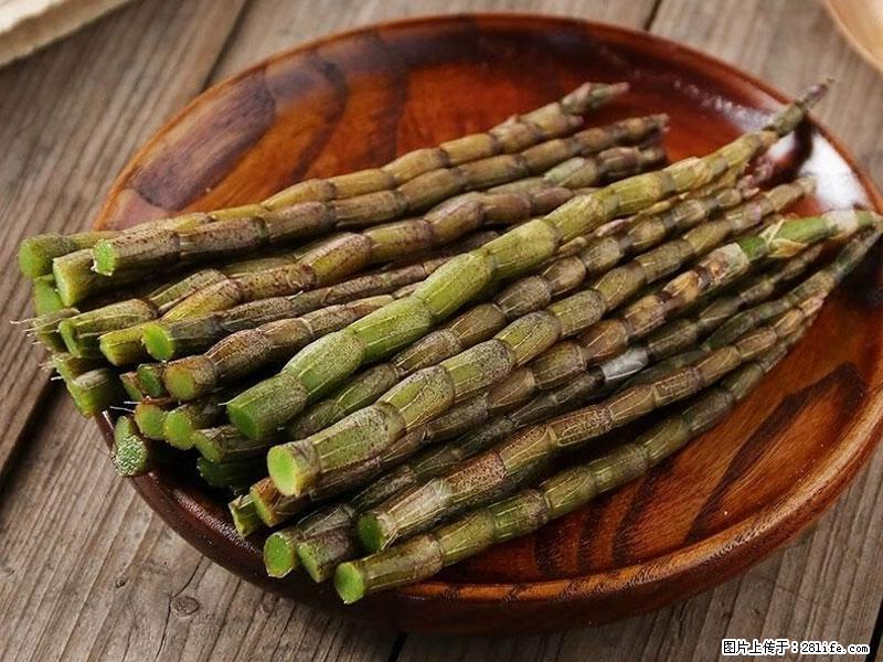 铁皮石斛的作用与功能主治 - 果洛生活资讯 - 果洛28生活网 guoluo.28life.net