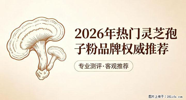 灵芝孢子粉含量越高越有效？2026 年七款热门品牌深度实测，肠胃敏感者避坑指南 - 果洛生活资讯 - 果洛28生活网 guoluo.28life.net